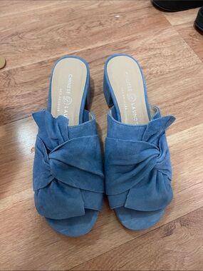 Chinese Laundry Blue Suede Knotted Slide Mules